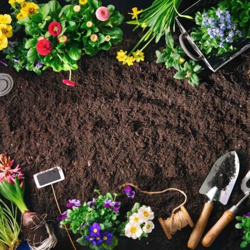 Soil Services (Potting Soil & Topsoil)